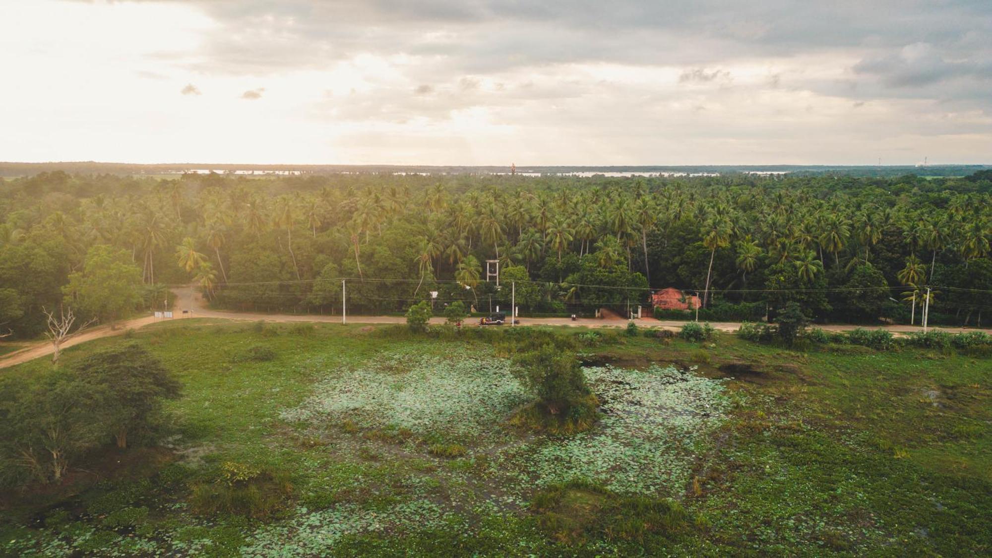Hotel Tissamaharama Buitenkant foto