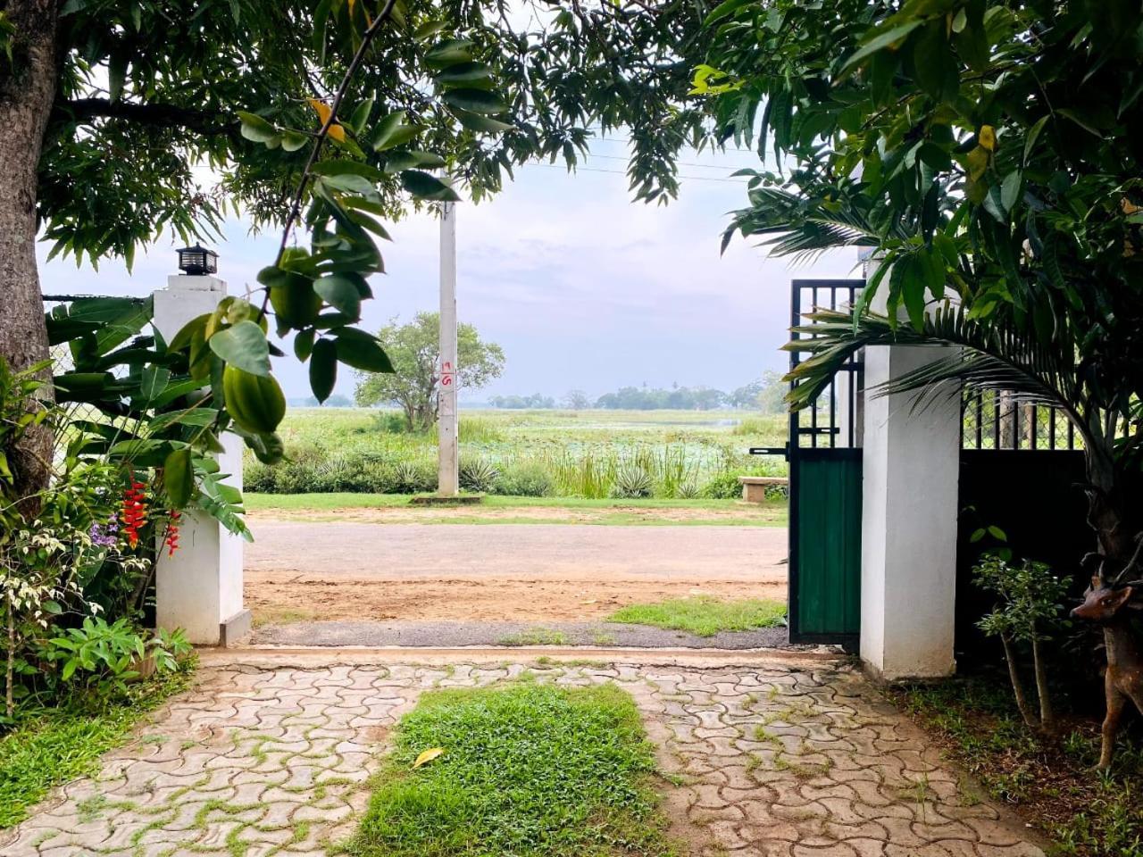 Hotel Tissamaharama Buitenkant foto
