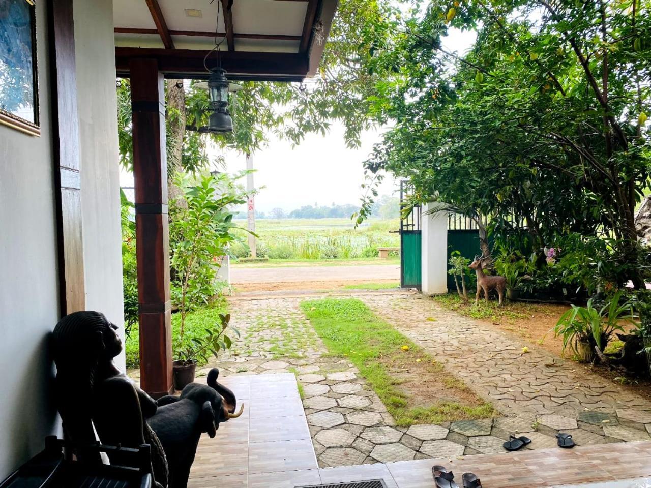 Hotel Tissamaharama Buitenkant foto