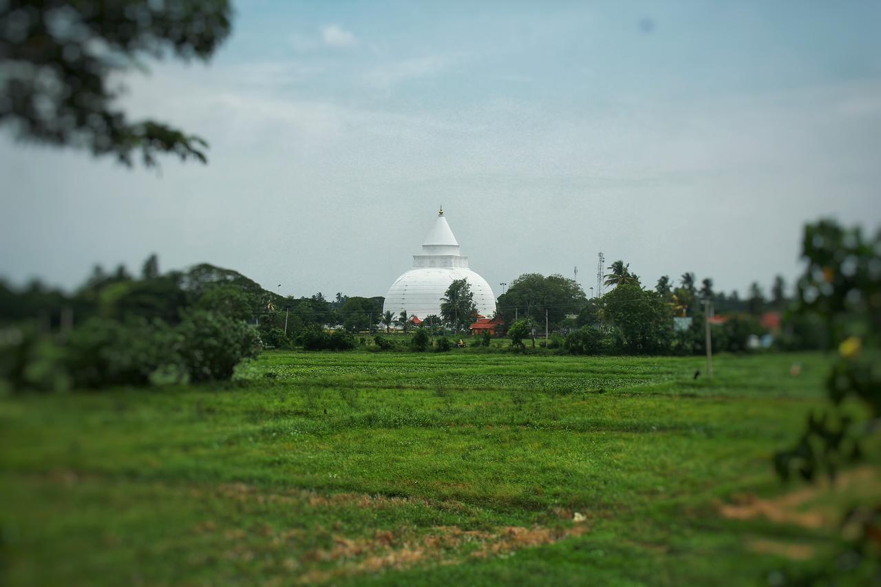 Hotel Tissamaharama Buitenkant foto