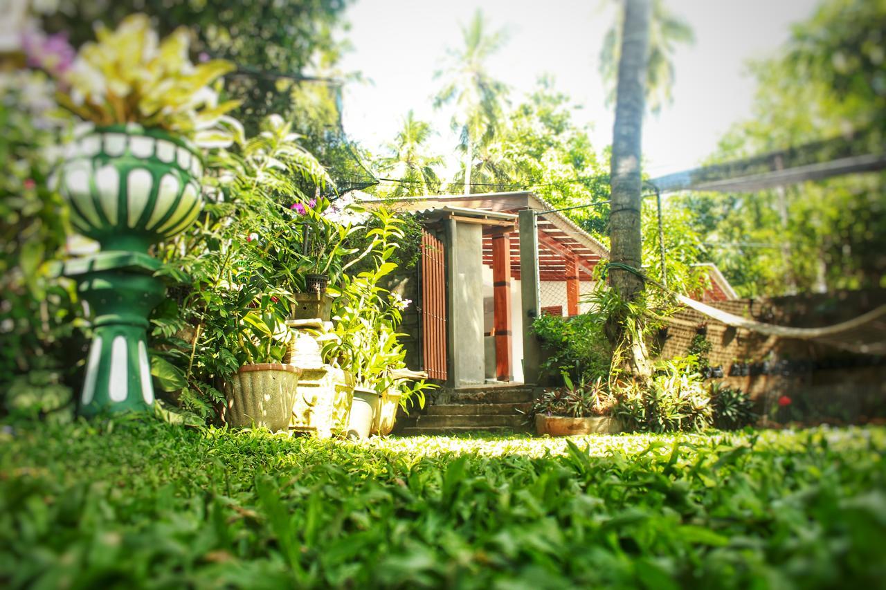 Hotel Tissamaharama Buitenkant foto